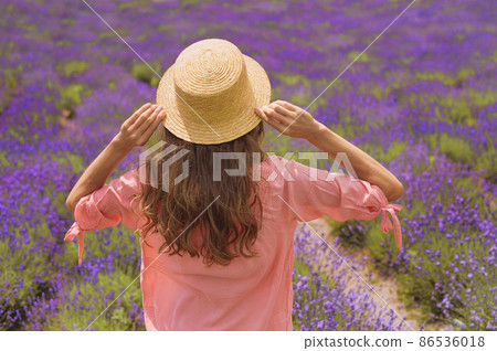 Young Beautiful romantic woman in hat stay on field of purple lavender flowers. Soft selective focus Young Beautiful romantic woman in hat stay on field of purple lavender flowers. Soft selective focus 86536018