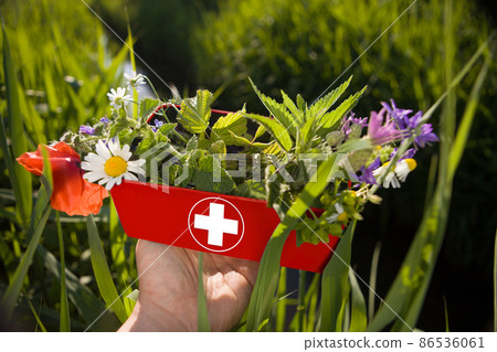 Fresh herbs in first aid kit - ALTERNATIVE MEDICINE. Fresh herbs in first aid kit - ALTERNATIVE MEDICINE. 86536061