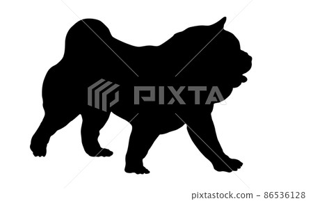 Walking chow chow puppy. Black dog silhouette. 86536128