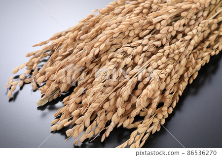 Rice field 86536270