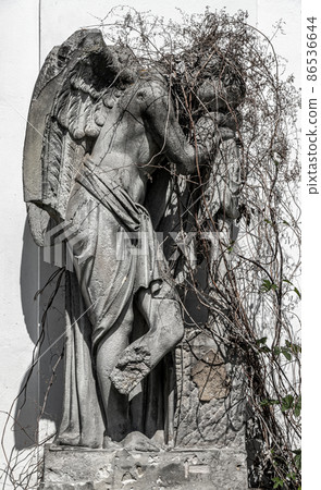 A statue of a mourning angel overgrown with dry ivy. 86536644