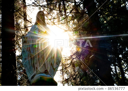 The statue of the Virgin Mary in the forest The statue of the Virgin Mary in the forest 86536777