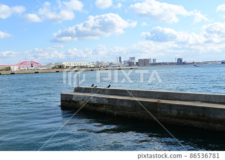 神戶港灣區和海鳥 神戶港灣區和海鳥 86536781