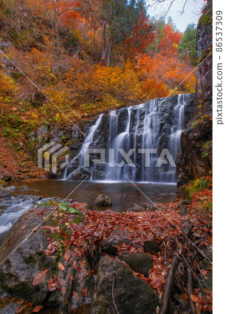 Tatemata Valley of Autumn Leaves Ninotaki, Kitaakita City, Akita Prefecture Tatemata Valley of Autumn Leaves Ninotaki, Kitaakita City, Akita Prefecture 86537309