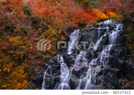 Autumn Tatemata Valley, Autumn Leaves Ninotaki, Kitaakita City, Akita Prefecture 86537422