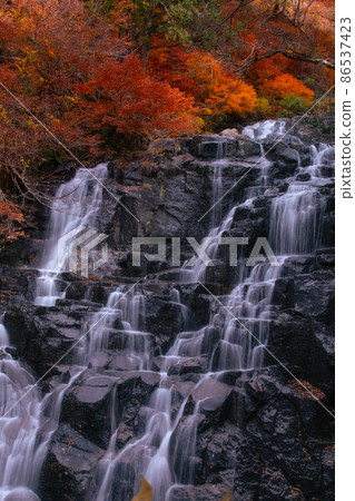 Autumn Tatemata Valley, Autumn Leaves Ninotaki, Kitaakita City, Akita Prefecture Autumn Tatemata Valley, Autumn Leaves Ninotaki, Kitaakita City, Akita Prefecture 86537423