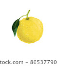 Illustration of watercolor Yuzu 86537790