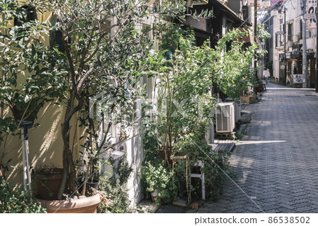 東京都杉並區阿佐谷星路的大氣後巷種植 86538502