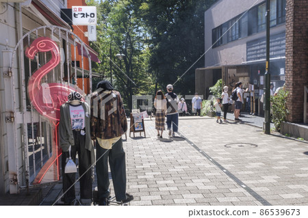 Nanaibashi Dori with a fashionable atmosphere following Inokashira Park in Kichijoji, Musashino City, Tokyo 86539673