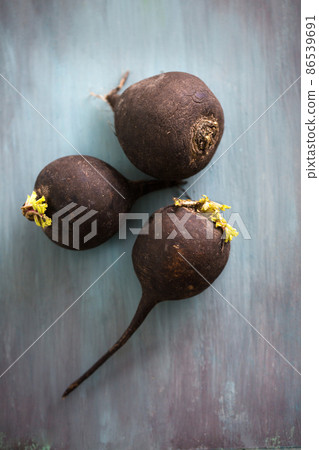 Black radish, top view 86539691