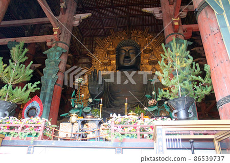 [奈良] 東大寺和大佛殿的羅薩那佛坐像 86539737