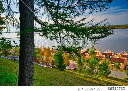 The bank of the Amur River in the Far East of Russia. 86539785