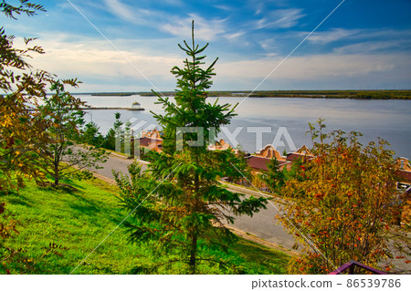 The bank of the Amur River in the Far East of Russia. The bank of the Amur River in the Far East of Russia. 86539786