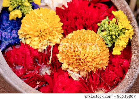 Mini flower hand water 86539807