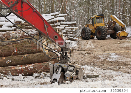Log or Logging Skidder and Knuckleboom loader with Freshly Harvested and piled timber logs 86539894
