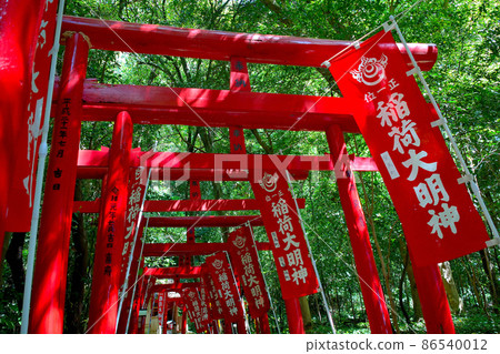 Hananoiwaya Shrine, World Cultural Heritage, Torii that leads to Inari Shrine and Ryujin Shrine in front of the shrine, Kumano City, Mie Prefecture (3) 86540012