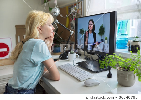 Online session of a teenage girl and a psychologist, social worker Online session of a teenage girl and a psychologist, social worker 86540783