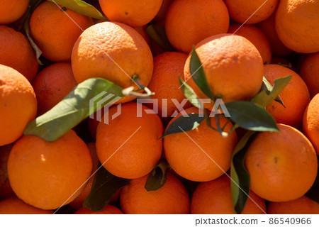 Full Frame Shot Of Oranges. Oranges For Sale At Market Stall 86540966