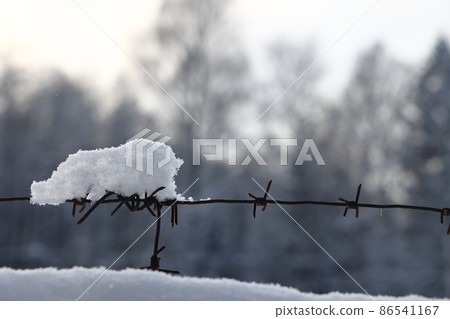 Barbed wire on the fence against light background in the winter cloudy day. Barbed wire on the fence against light background in the winter cloudy day. 86541167