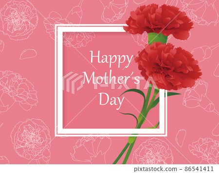 母親節康乃馨背景素材 母親節康乃馨背景素材 86541411