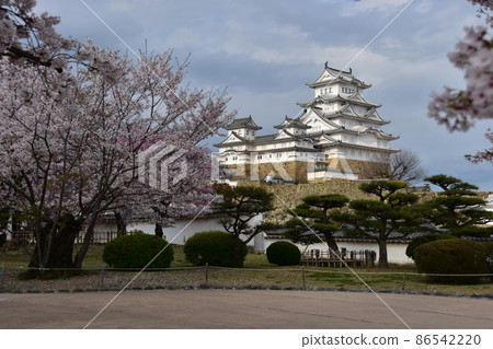 日本兵庫縣姬路市姬路城,世界遺產,國寶,春天的櫻花和宏偉的城樓 日本兵庫縣姬路市姬路城,世界遺產,國寶,春天的櫻花和宏偉的城樓 86542220