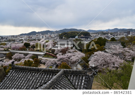 日本兵庫縣姬路市世界遺產和國寶姬路城,從天守閣看周圍的城市景觀,櫻花和城堡內的花園 日本兵庫縣姬路市世界遺產和國寶姬路城,從天守閣看周圍的城市景觀,櫻花和城堡內的花園 86542381
