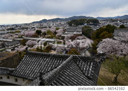 日本兵庫縣姬路市世界遺產和國寶姬路城，從天守閣看周圍的城市景觀，櫻花和城堡內的花園 86542382