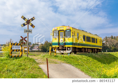 "Chiba" Isumi Railway railroad crossing and rape blossoms 86543117