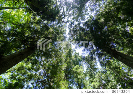 蘆之湖的箱根神社 蘆之湖的箱根神社 86543204