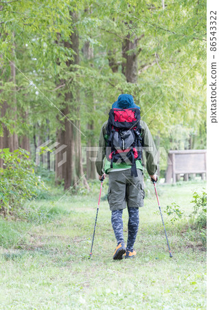 Trekking man, rear view 86543322