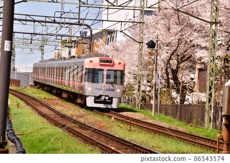 Near Takaido Station: All Inokashira Line trains and Sakura Near Takaido Station: All Inokashira Line trains and Sakura 86543574