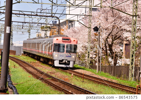 高戶站附近:井之頭線所有列車和櫻花 高戶站附近:井之頭線所有列車和櫻花 86543575