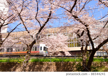 高井戶站井之頭線附近,櫻花 高井戶站井之頭線附近,櫻花 86544241