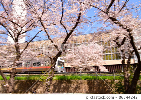 高井戶站井之頭線附近,櫻花 高井戶站井之頭線附近,櫻花 86544242