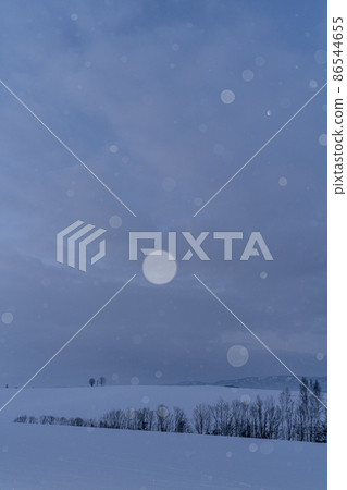 北海道美瑛町，小雪在黎明前跳舞的美瑛山，親子樹和第23晚的月亮 86544655