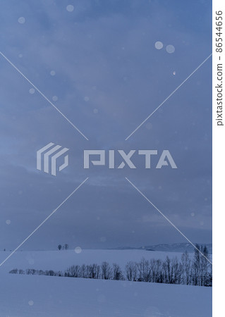 北海道美瑛町,小雪在黎明前跳舞的美瑛山,親子樹和第23晚的月亮 北海道美瑛町,小雪在黎明前跳舞的美瑛山,親子樹和第23晚的月亮 86544656