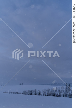 北海道美瑛町,小雪在黎明前跳舞的美瑛山,親子樹和第23晚的月亮 北海道美瑛町,小雪在黎明前跳舞的美瑛山,親子樹和第23晚的月亮 86544657
