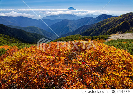 Autumn leaves of rowan and Mt. Fuji on the Kitadake ridgeline in the Southern Alps 86544779
