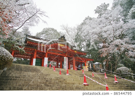 Three Togoku Sansha in the snow Three Togoku Sansha in the snow 86544795