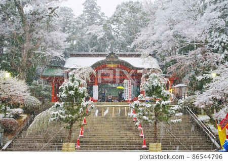 雪中的三隻東國三社 雪中的三隻東國三社 86544796