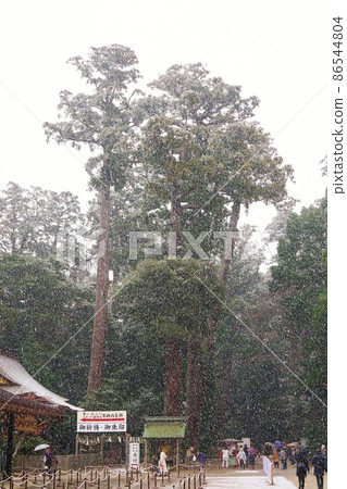 Three Togoku Sansha in the snow Three Togoku Sansha in the snow 86544804