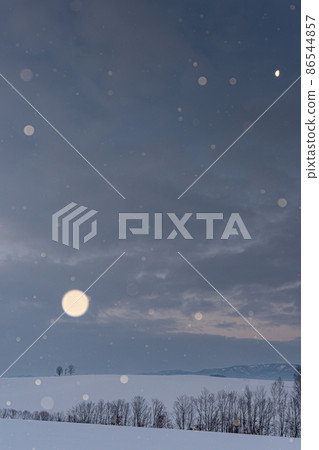 Biei Town, Hokkaido, Biei Hill where Koyuki dances before dawn, parent and child trees and the moon of the 23rd night 86544857