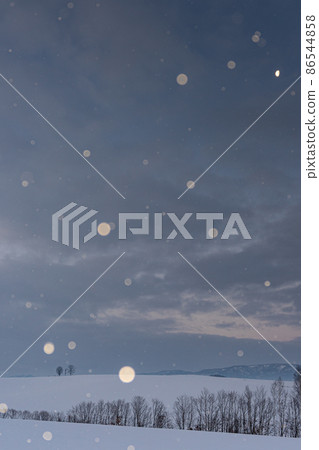 Biei Town, Hokkaido, Biei Hill where Koyuki dances before dawn, parent and child trees and the moon of the 23rd night Biei Town, Hokkaido, Biei Hill where Koyuki dances before dawn, parent and child trees and the moon of the 23rd night 86544858