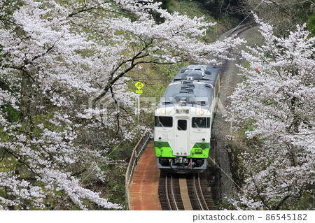 春天Tadami線 86545182