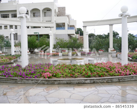 Shodoshima Landscape Olive Park Greece Square Shodoshima Landscape Olive Park Greece Square 86545339