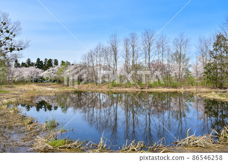 浪岡濕花園 浪岡濕花園 86546258