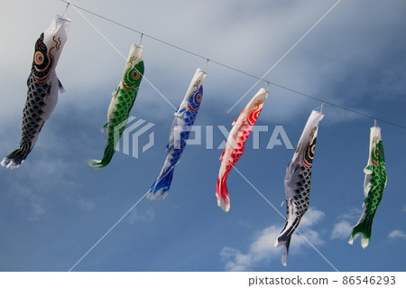 藍天下的“鯉魚旗” 86546293