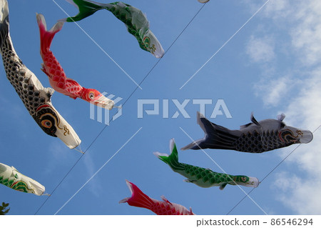 藍天下的“鯉魚旗” 86546294