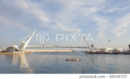 大浦港 大浦港 86546737