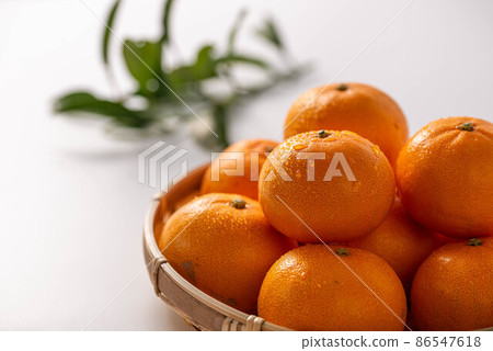 The taste of winter is very sweet and delicious. 86547618